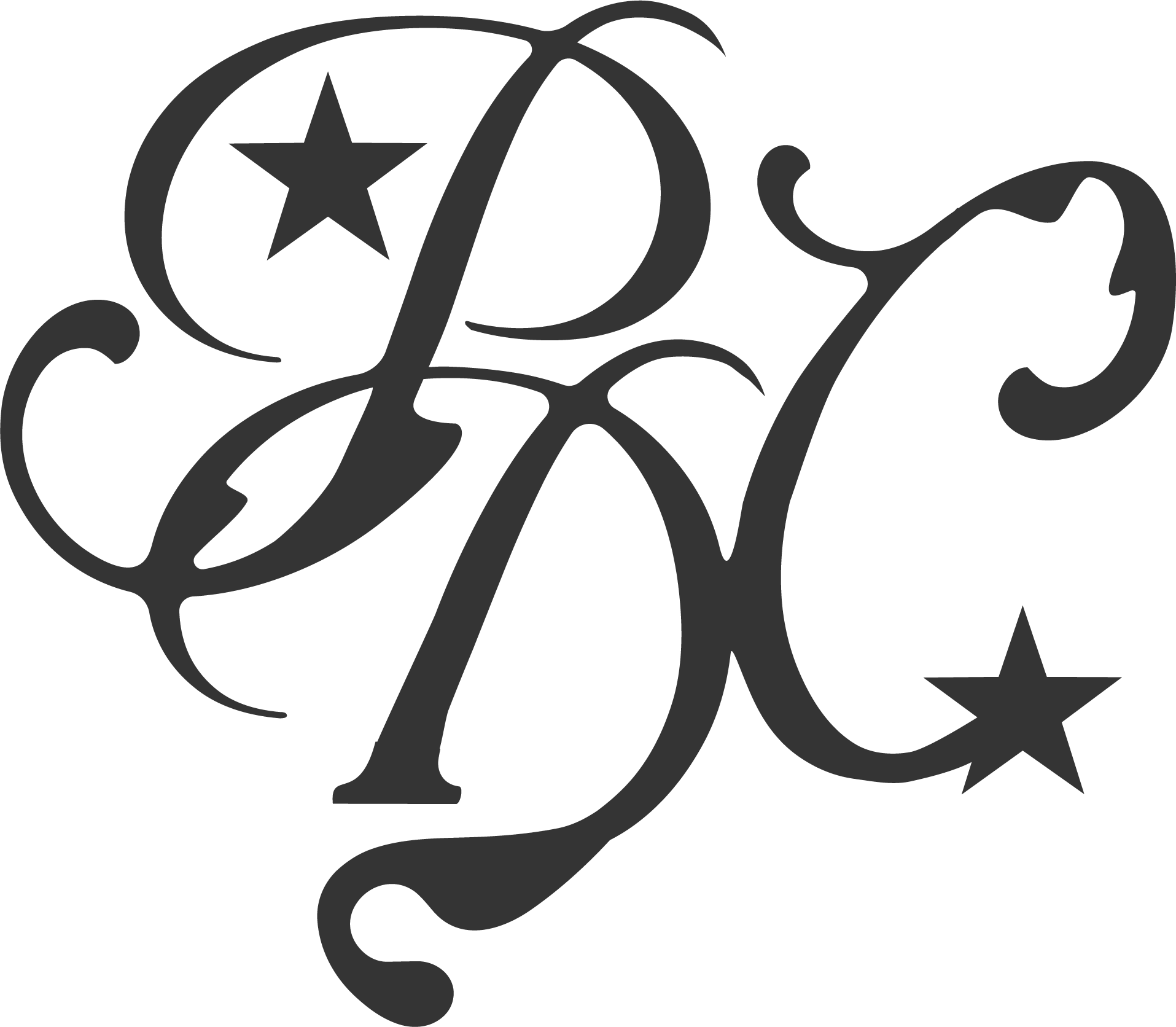 Panameños Division Club - Principal Logo